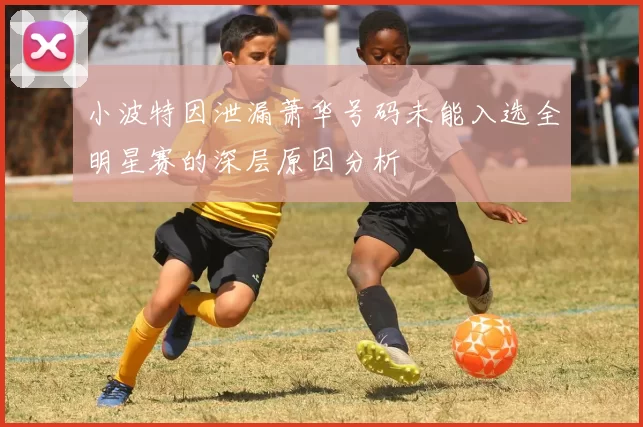 小波特因泄漏萧华号码未能入选全明星赛的深层原因分析